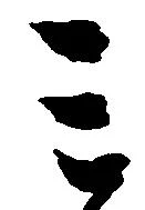 位置 確認된 ミ