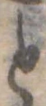 位置 確認된 と