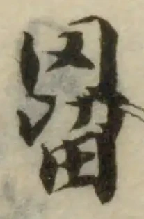 位置 確認된 罶