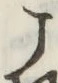 글자 こ