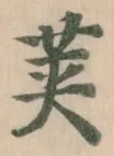 荚の位置