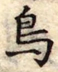 鳥 위치 확인됨