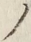 “ノ”字