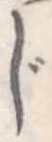 じ 위치 확인됨
