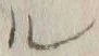 字ル