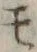 字モ