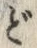 글자 ど