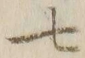 字七