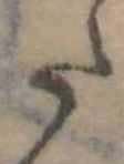 Đã định vị 𛁠