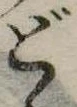 位置 確認된 ど