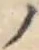字ノ