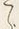 𡨸ハ