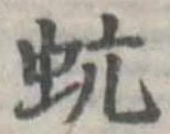 蚢 위치 확인됨