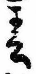 春 위치 확인됨