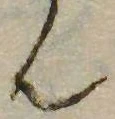 㐌定位𣗓檊