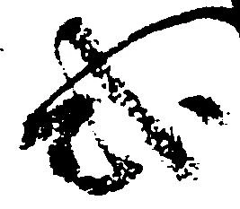 Đã định vị 式