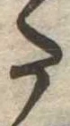 𛁠 위치 확인됨
