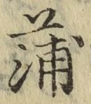 文字蒲