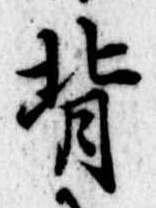 背 위치 확인됨