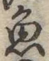 魚 위치 확인됨