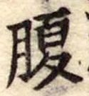 腹 위치 확인됨