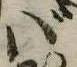 位置 確認된 ば