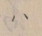 已定位𛂞
