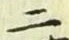 字二