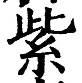 字紫