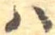 𛂞の位置