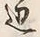 文字辺