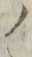 𡨸ノ