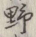 已定位野