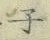 글자 子
