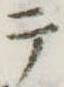 テ 위치 확인됨