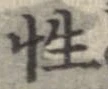 性 위치 확인됨