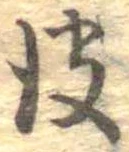 已定位皮