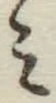 글자 み