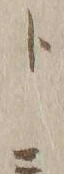 字ト
