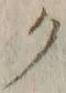 “ク”字