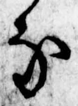 𛂁の位置