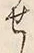 字せ