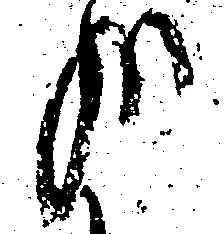 哉 위치 확인됨