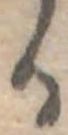 位置定マレル𛃻