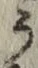글자 う