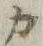 “カ”字