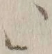 글자 ヽ