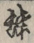已定位蝶