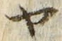 「ヤ」字