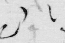 “つ”字